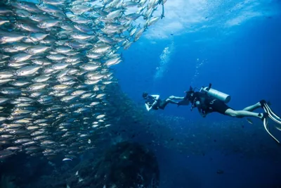 Jamahkiri Dive Resort & Spa – Photos 4
